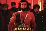 Animal for Filmfare, Animal breaking updates, record breaking nominations for animal, Vishal