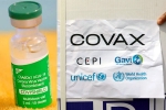 COVAX latest news, COVAX updates, sii to resume covishield supply to covax, Bharat biotech