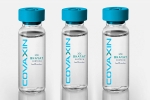 Covaxin, EUL for Covaxin news, who delays the eul decision on covaxin, Bharat biotech