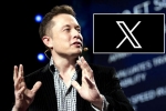 X subscription users, X subscription breaking news, elon musk announces that x would be paid for everyone, Work