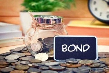 RBI may raise $30-35 Billion through NRI Bonds to Support Rupee: Report