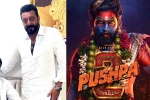Pushpa: The Rule business, Pushpa: The Rule, sanjay dutt s surprise in pushpa the rule, Surprise