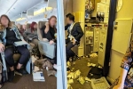 One dead and 30 injured in Singapore Airlines turbulence horror