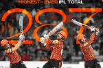 Sunrisers Hyderabad latest, IPL 2024, sunrisers hyderabad scripts history in ipl, Sharma