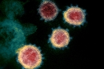 Mu variant, Mu variant updates, one more new variant of coronavirus traced in columbia, Anthony fauci